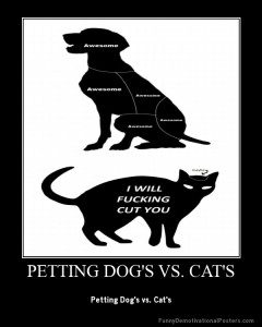 demotivational-poster-0imz2i53dh-PETTING-DOGS-VS.-CATS