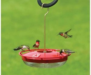  colibrì feeder