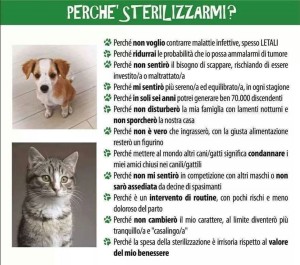 sterilizzazione