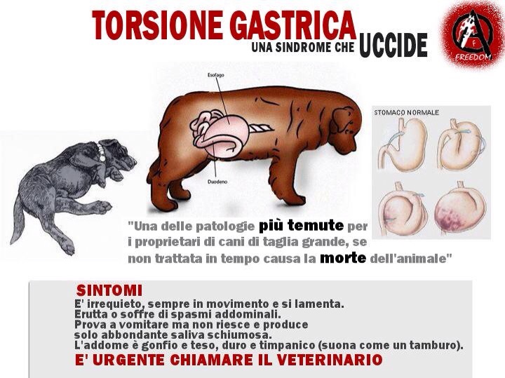 La persona gonfiata di una maschera