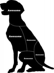 cat_petting_vs_dog_petting_and_the_winner_is_640_high_03