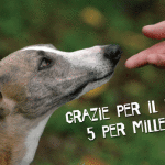 Devolvi il tuo 5 per mille agli animali