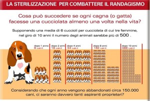 sterilizzazione