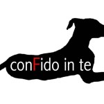 “ConFido in te”, per i cani e i gatti delle perreras spagnole