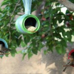 Birdgardening. Dal barattolo alla mangiatoia