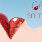 Europa, divieto totale di test cosmetici su animali 