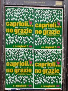 manifesti caprioli