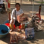 ACTION! Protesta per gli uccelli seviziati in Cambogia