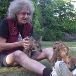 Brian May e il suo amore per gli animali