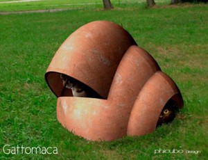 gattomaca