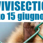 Il 15 giugno tutti in piazza per Stop Vivisection