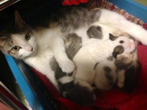 Lurlene con i suoi piccoli