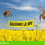 ACTION! Una firma contro i pesticidi che uccidono le api