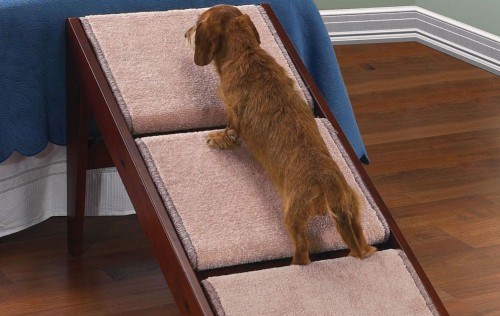 scaletta per cani con cuccia nuova in omaggio Rampa 