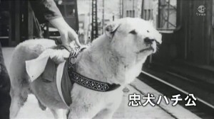 Hachikō in stazione