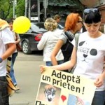 ACTION! Strage d’animali in Moldova. Invia la lettera di protesta  