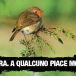 Caccia. Lipu: “Norme violate”. Sospesa la caccia in Piemonte