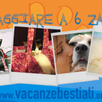 “Vacanzebestiali”, l’app per un’estate a quattro zampe 