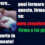 ACTION! Stop Vivisection. Servono firme fino al 21 ottobre