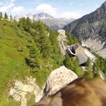 Sulle ali dell’aquila, sopra il Monte Bianco [Video]