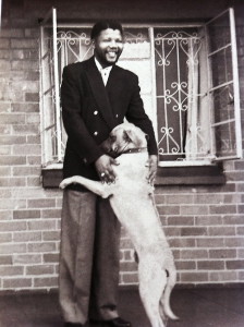 Nelson Mandela con un cane che gli fa le feste