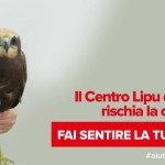 ACTION! Il Crfs Lipu di Roma non deve chiudere