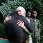 Wounda saluta Jane Goodall prima di tornare nella foresta