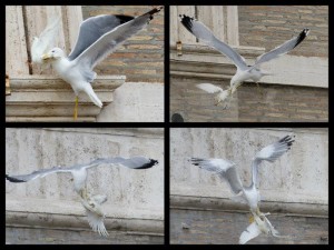 La sequenza dell'aggressione