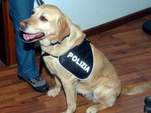 cane poliziotto