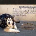 Non lasciare mai il cane al gancio