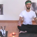 Pancho, il cane che fa yoga [Video]