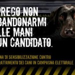 Partita la caccia al voto “animalista” degli aspiranti sindaci di Roma