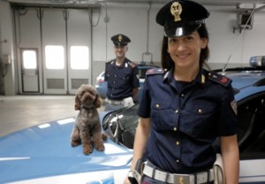 polizia stradale