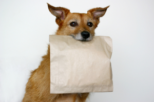 doggie bag