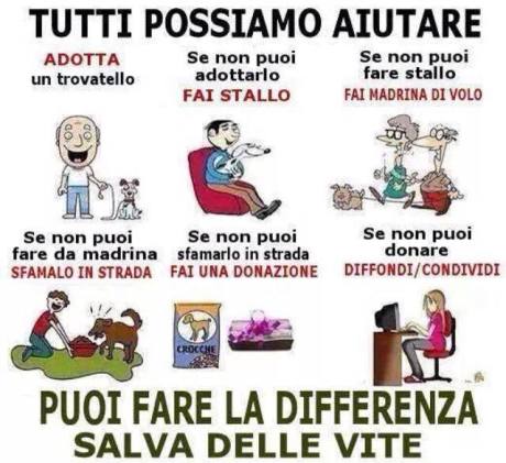 Tutti possono aiutare