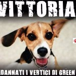 Beagle alla riscossa, condannato Green Hill