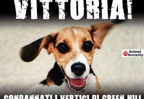 La giustizia dei Beagles