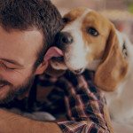 Per non lasciare solo il cane arriva DogBuddy