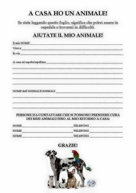 foglio animale a casa