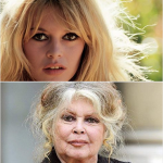 Bardot: “Ho dato la mia bellezza…”