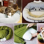 Dal pullover alla cuccia per il pet