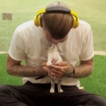 Kitten Therapy. Quando i gattini aiutano gli stressati [Video]