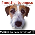 ACTION! #Metticiltuomuso, firma contro i cuccioli in vetrina