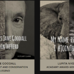 Vota no al commercio dell’avorio #JoinTheHerd