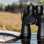 Preparate i binocoli, arriva l’Eurobirdwatch 2019