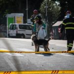 Palazzina crollata a Roma. Recuperati 2 dei 4 gatti dispersi