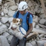 Terremoto, l’emergenza animali continua. Come aiutare