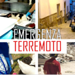 Terremoto e animali. Notizie e appello dai volontari Oipa