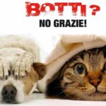 Botti di Capodanno, vademecum per proteggere gli animali