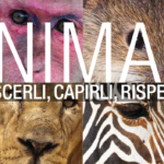 Animali, un manuale da scaricare per difenderli